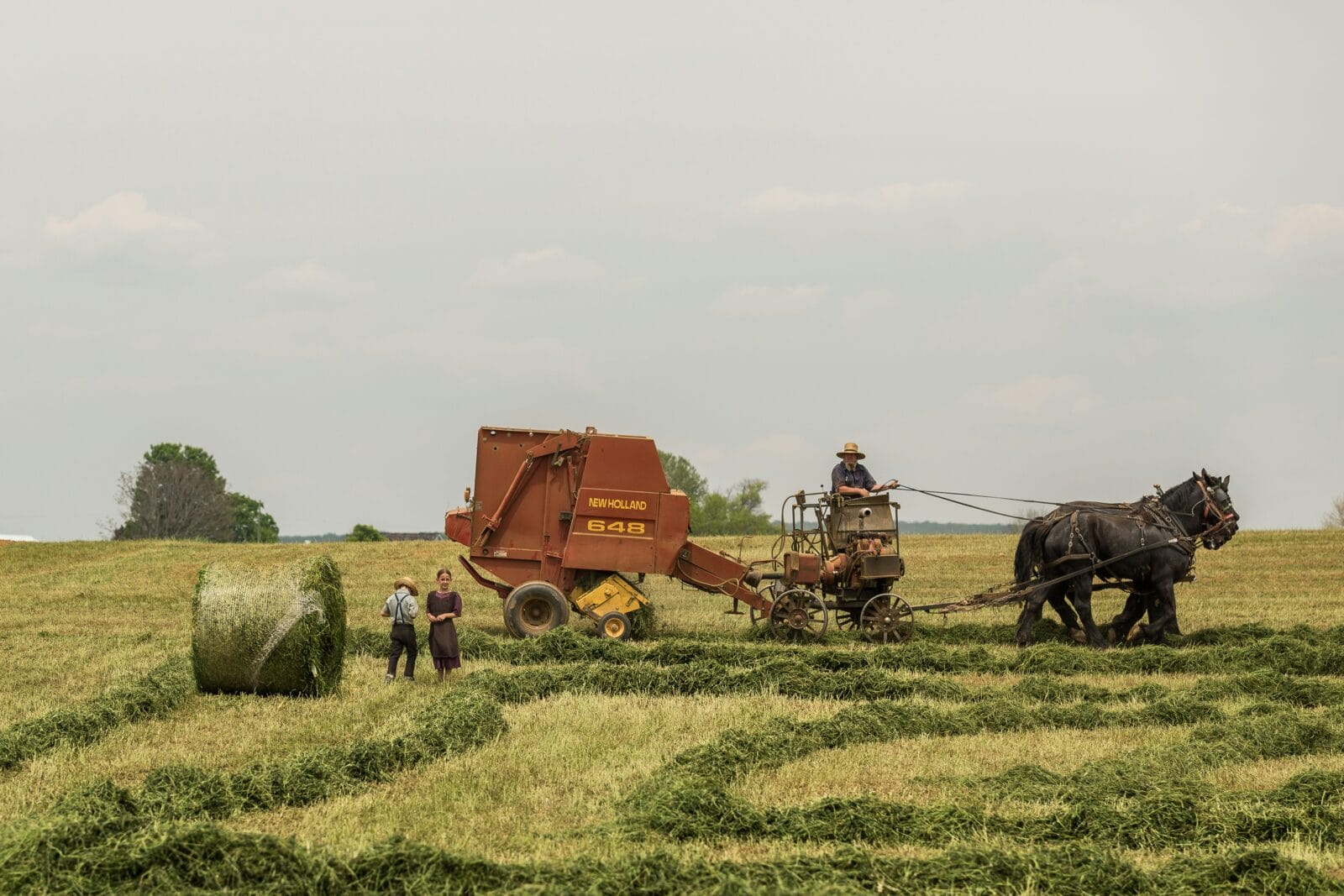 Inheritance tax changes for farmers – How can they prepare? 