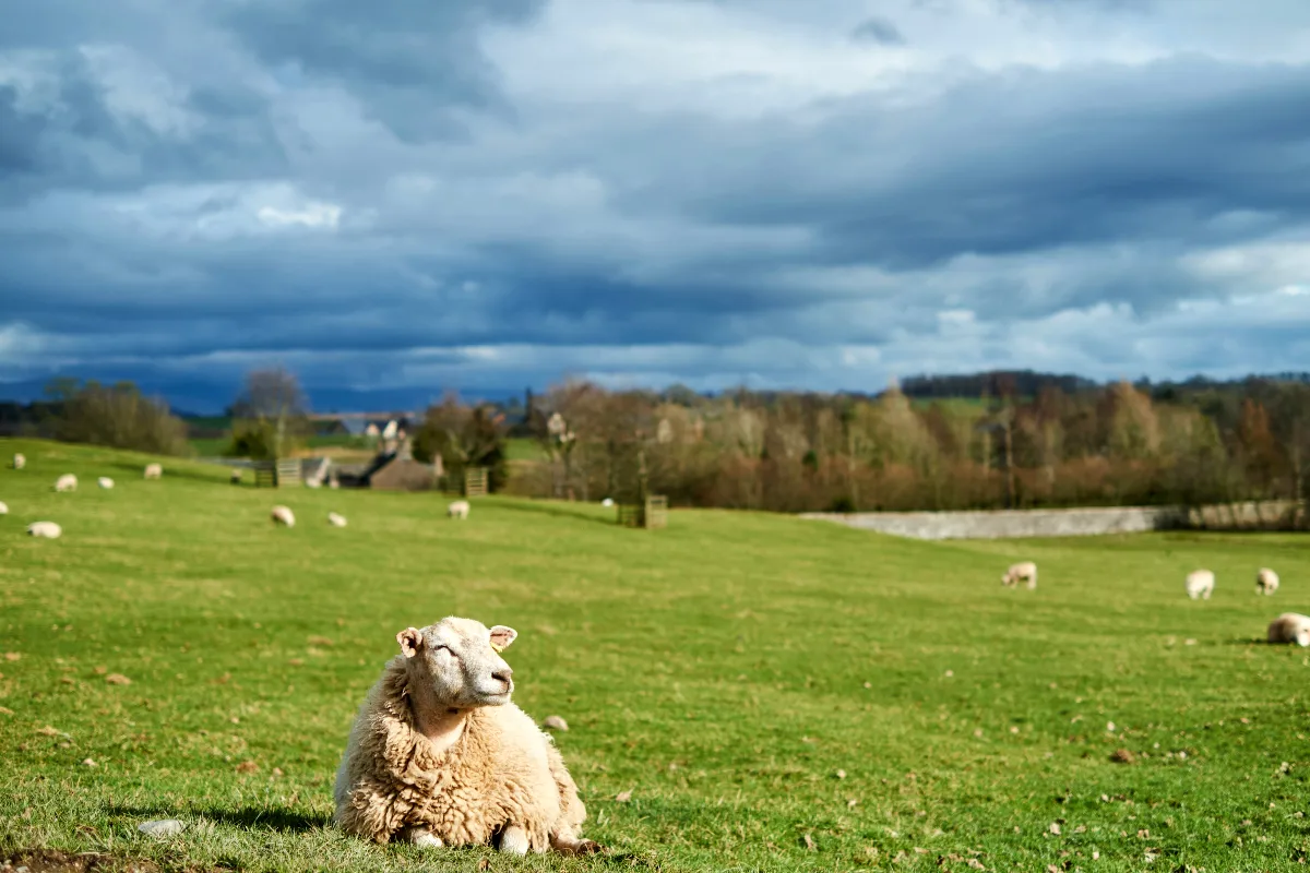 Data reveals farmers in the north-east could be hit the hardest by Farmers Inheritance Tax