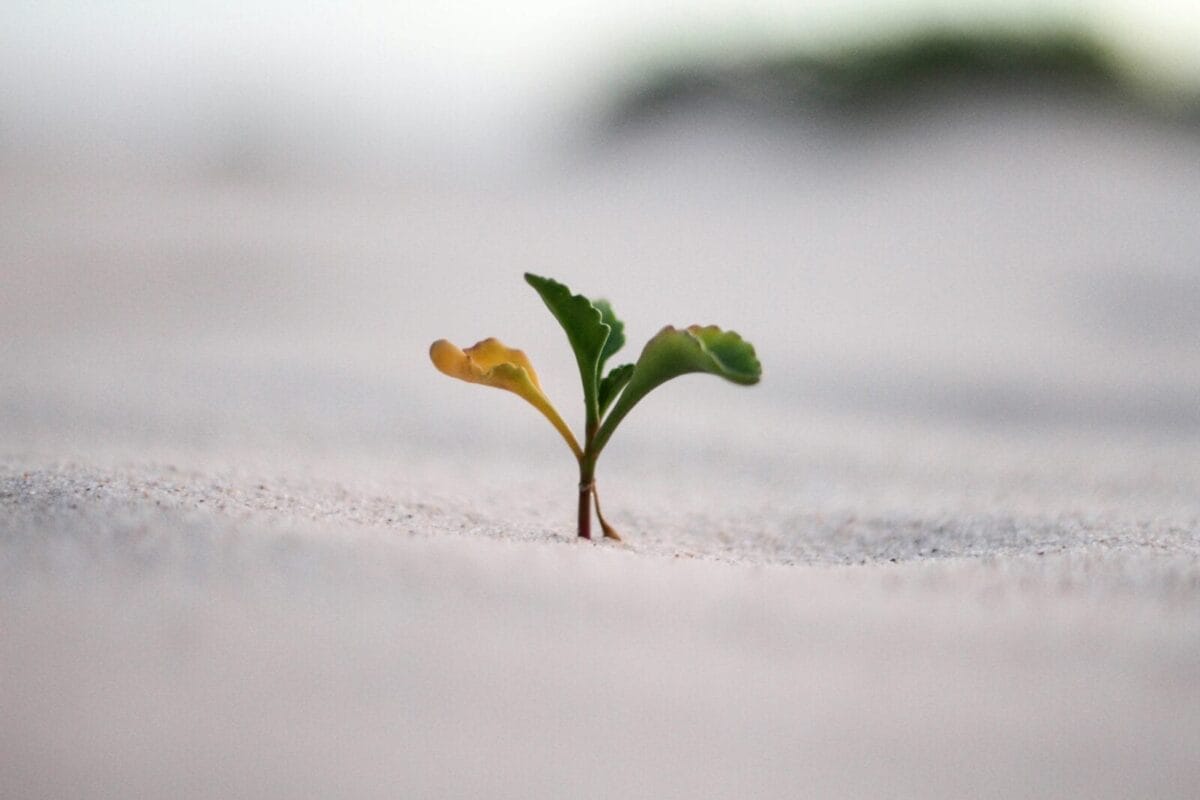Unsplash - 14/08/2025 - Economy