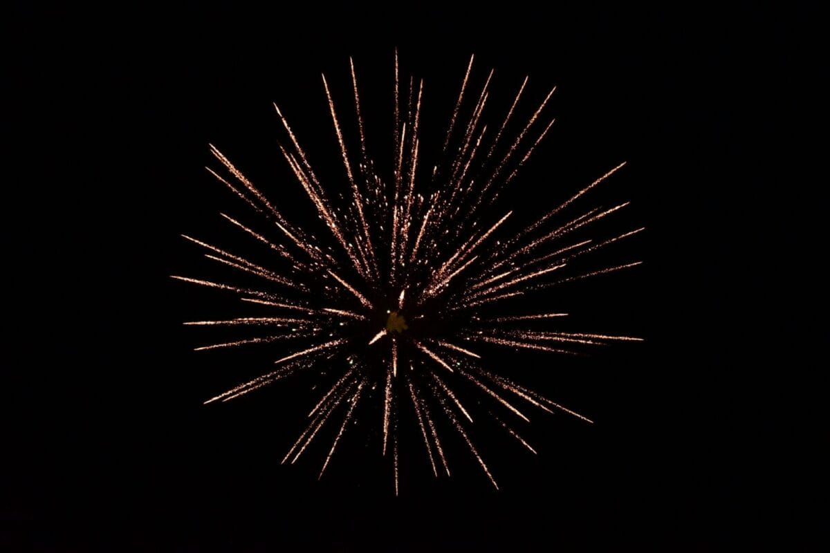 Unsplash - 11/08/2025 - Celebrates