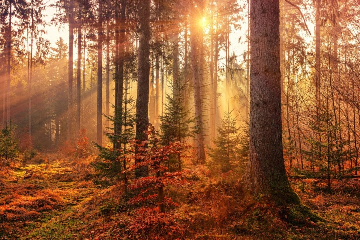 The Autumn checklist to protect your home insurance