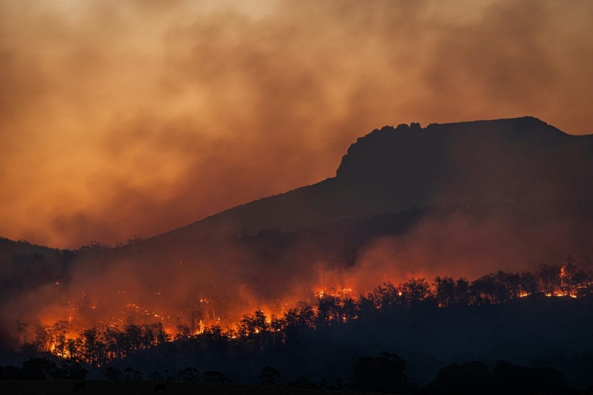 99% property professions say clients concerned about climate change when buying property