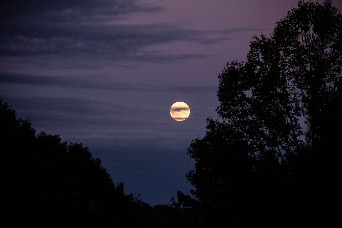 Unsplash - Loom, Moon