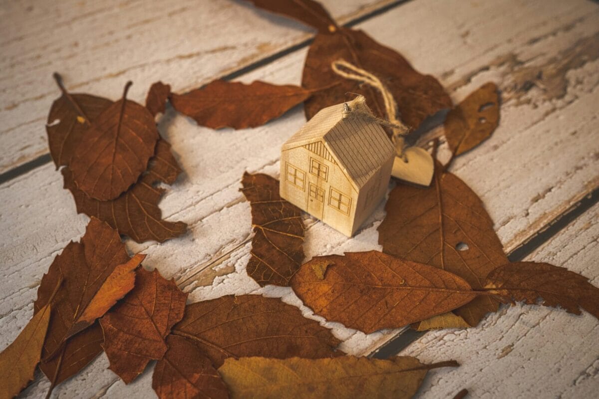 Unsplash - 19/11/2025 - Property