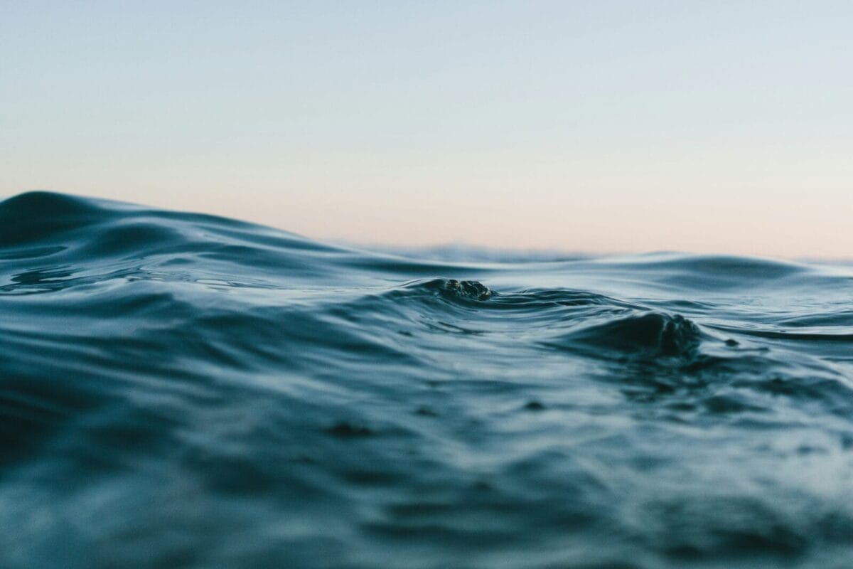 Unsplash - 22/06/2026