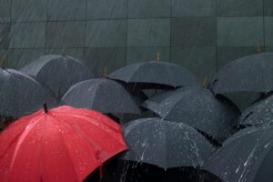 Unsplash - 05/11/2025 - Cover