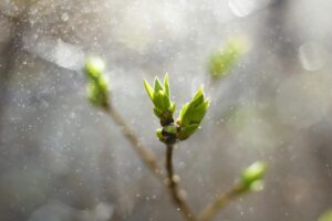 Unsplash - 10/06/2026