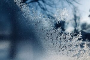 Unsplash - Frozen
